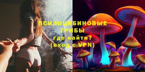 MDMA Белокуриха
