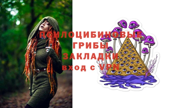 гашик Белоозёрский
