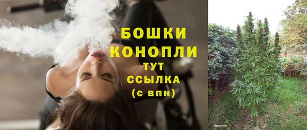 гашик Белоозёрский
