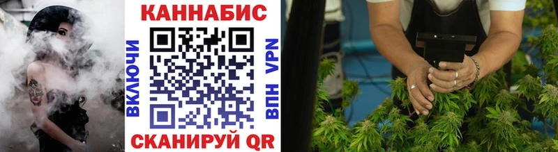 хочу наркоту  Сковородино  Канабис White Widow 